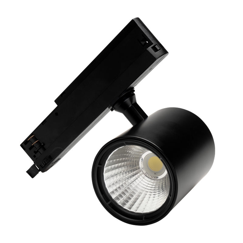 LexWS TC TL529648
