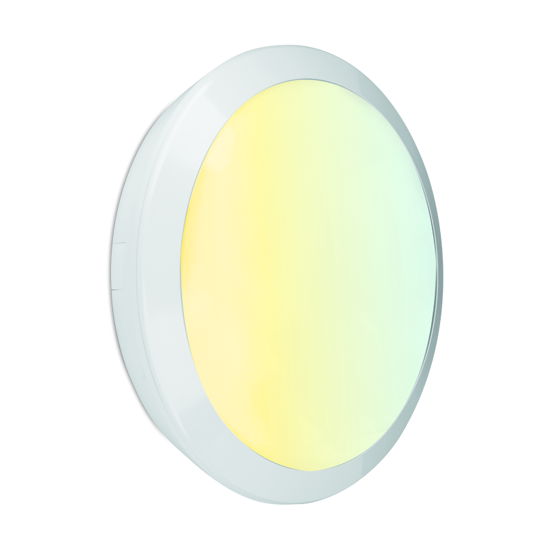 TitanCWS HU534338