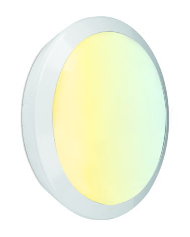 TitanCWS HU534338