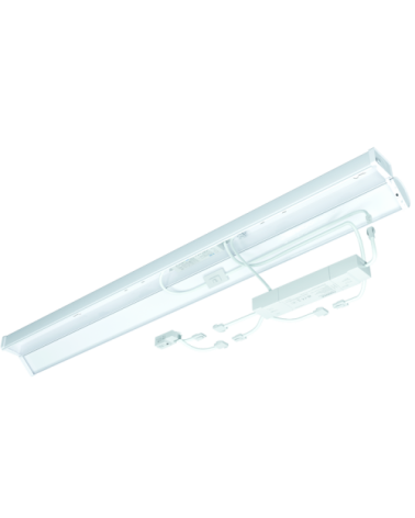 OrrenCWS RE529600