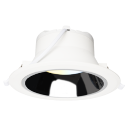 Lixi BL EN533959