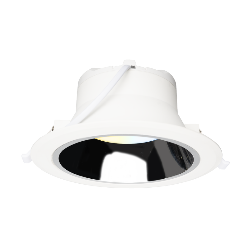 Lixi BL EN530293