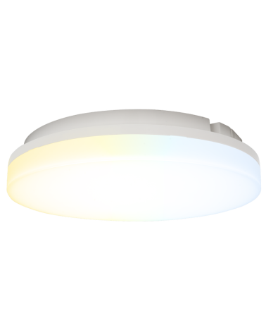 AuraCS PL531344