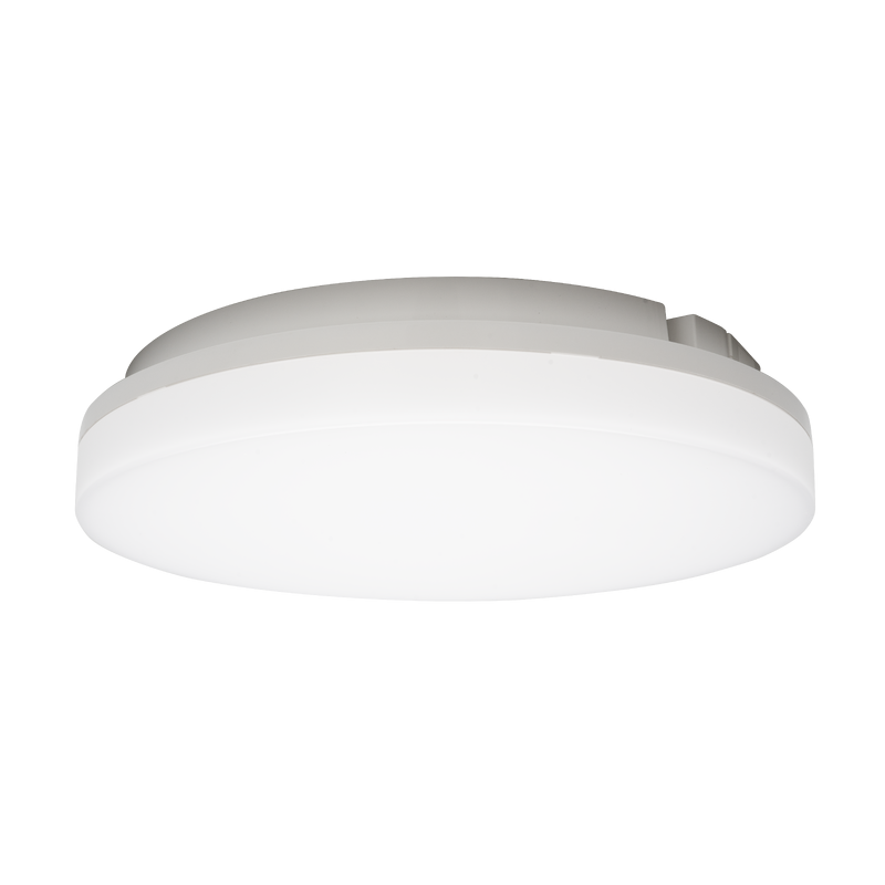 AuraCS PL531337