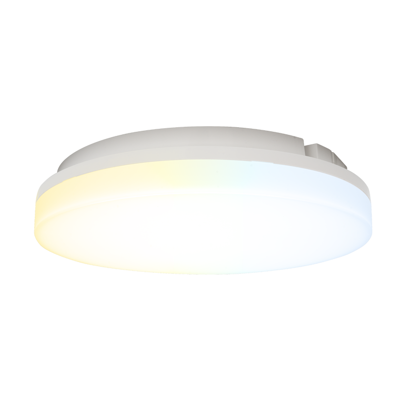 AuraCS PL531320