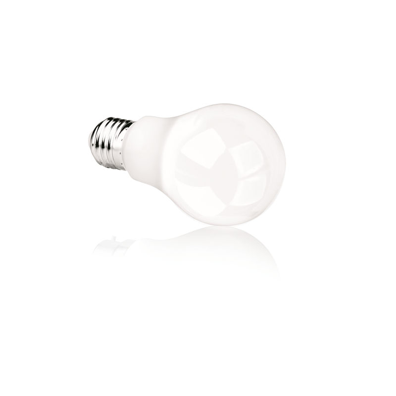 Bright LP531184