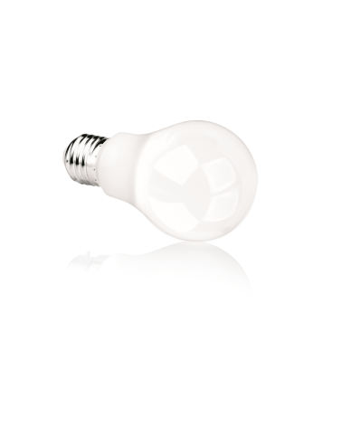 Bright LP531184
