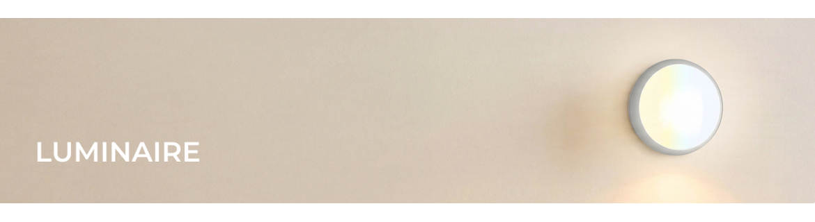 Luminaire